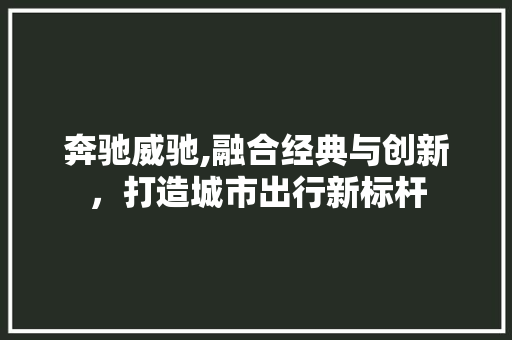 奔驰威驰,融合经典与创新，打造城市出行新标杆