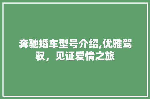 奔驰婚车型号介绍,优雅驾驭，见证爱情之旅
