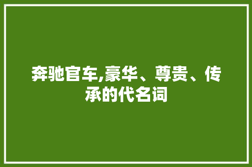 奔驰官车,豪华、尊贵、传承的代名词