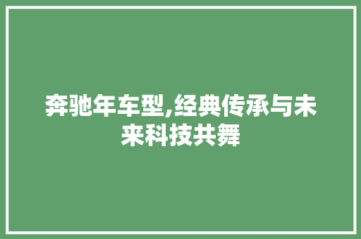 奔驰年车型,经典传承与未来科技共舞