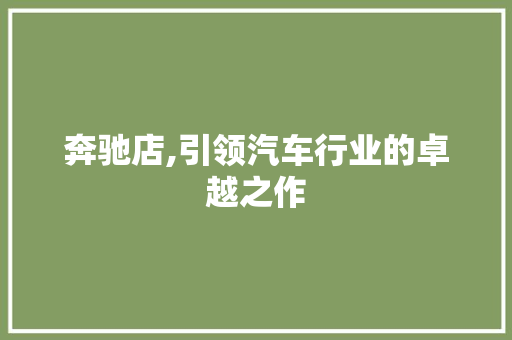 奔驰店,引领汽车行业的卓越之作