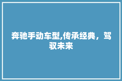 奔驰手动车型,传承经典，驾驭未来