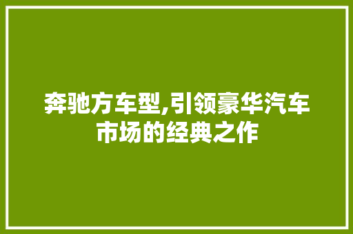 奔驰方车型,引领豪华汽车市场的经典之作