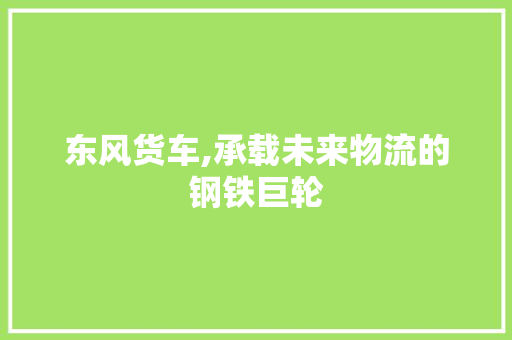 东风货车,承载未来物流的钢铁巨轮 汽车配件