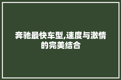 奔驰最快车型,速度与激情的完美结合