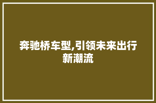 奔驰桥车型,引领未来出行新潮流