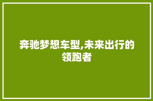 奔驰梦想车型,未来出行的领跑者