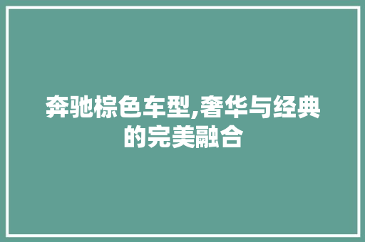 奔驰棕色车型,奢华与经典的完美融合
