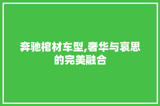 奔驰棺材车型,奢华与哀思的完美融合