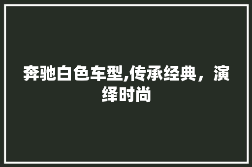 奔驰白色车型,传承经典，演绎时尚