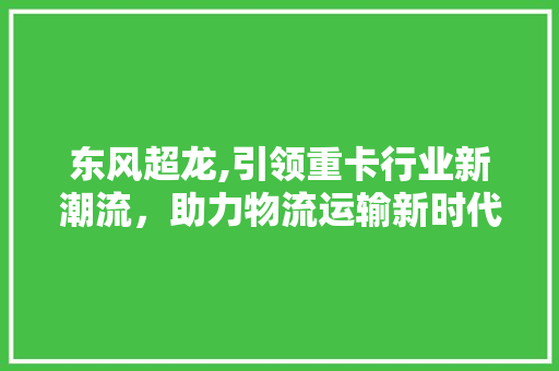 东风超龙,引领重卡行业新潮流，助力物流运输新时代 发动机配件