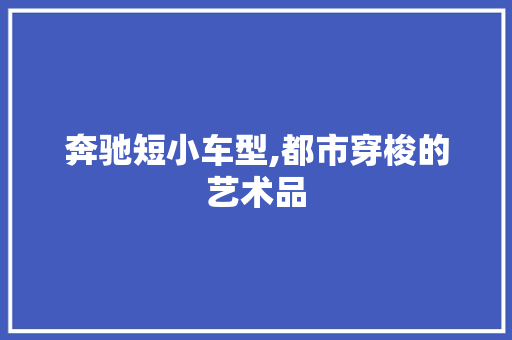 奔驰短小车型,都市穿梭的艺术品