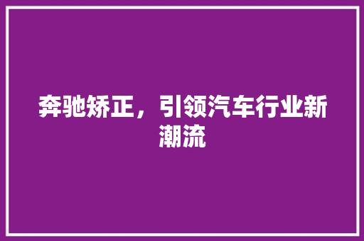 奔驰矫正，引领汽车行业新潮流