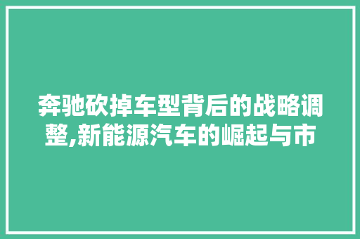 奔驰砍掉车型背后的战略调整,新能源汽车的崛起与市场风向的转变