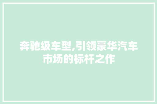 奔驰级车型,引领豪华汽车市场的标杆之作