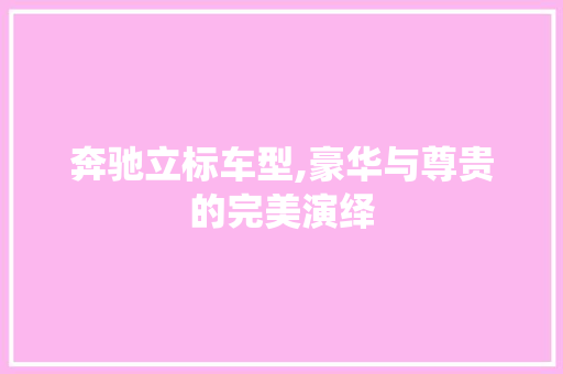 奔驰立标车型,豪华与尊贵的完美演绎