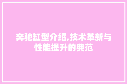 奔驰缸型介绍,技术革新与性能提升的典范