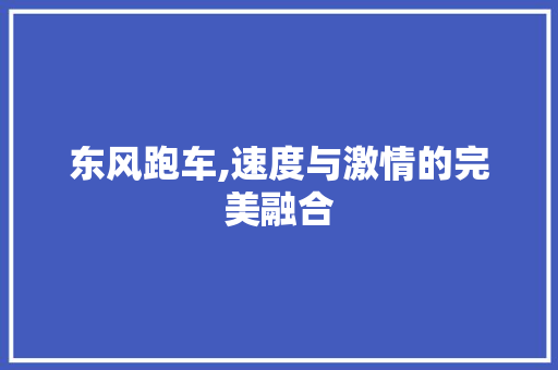 东风跑车,速度与激情的完美融合
