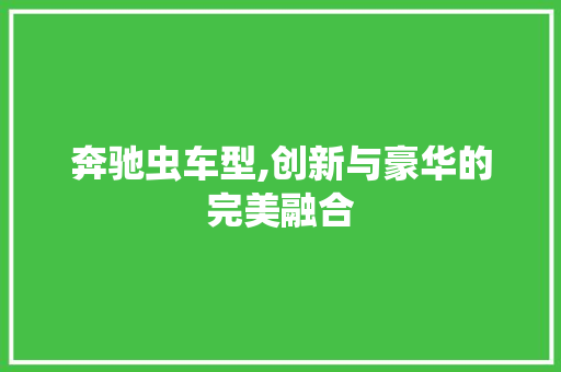 奔驰虫车型,创新与豪华的完美融合
