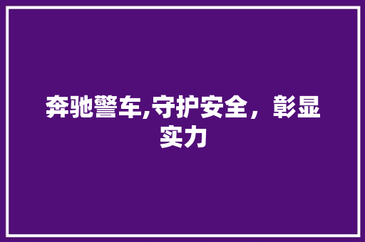 奔驰警车,守护安全，彰显实力