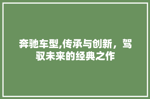 奔驰车型,传承与创新，驾驭未来的经典之作