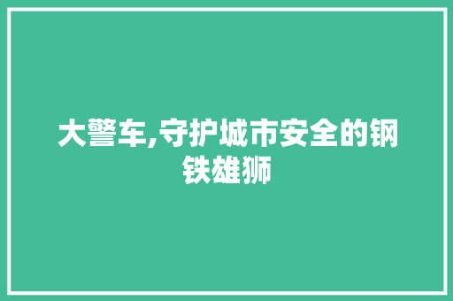 大警车,守护城市安全的钢铁雄狮