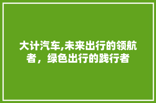 大计汽车,未来出行的领航者，绿色出行的践行者