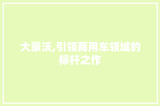 大豪沃,引领商用车领域的标杆之作
