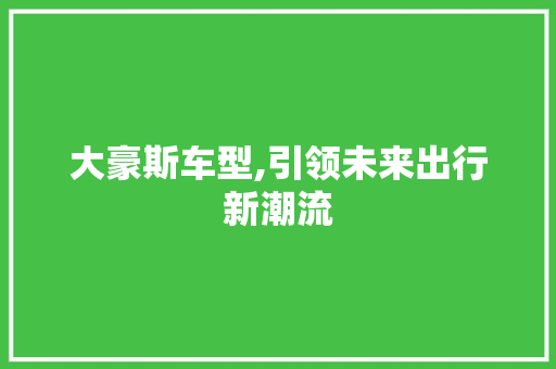 大豪斯车型,引领未来出行新潮流