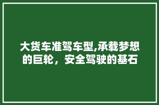 大货车准驾车型,承载梦想的巨轮，安全驾驶的基石