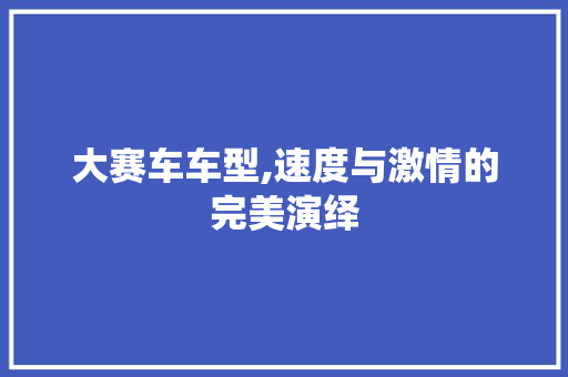 大赛车车型,速度与激情的完美演绎