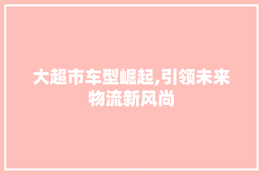大超市车型崛起,引领未来物流新风尚