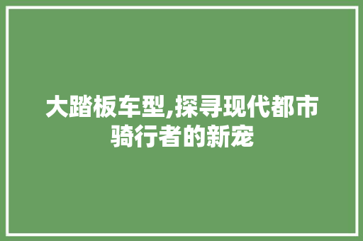 大踏板车型,探寻现代都市骑行者的新宠