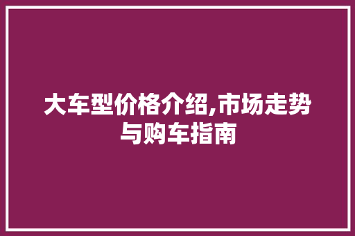 大车型价格介绍,市场走势与购车指南