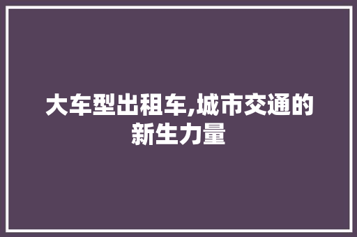 大车型出租车,城市交通的新生力量