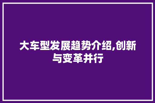 大车型发展趋势介绍,创新与变革并行