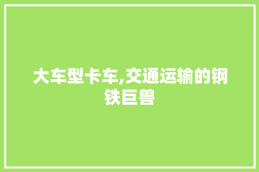 大车型卡车,交通运输的钢铁巨兽