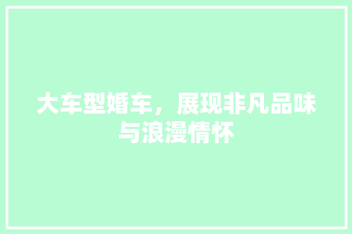 大车型婚车，展现非凡品味与浪漫情怀