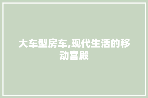 大车型房车,现代生活的移动宫殿