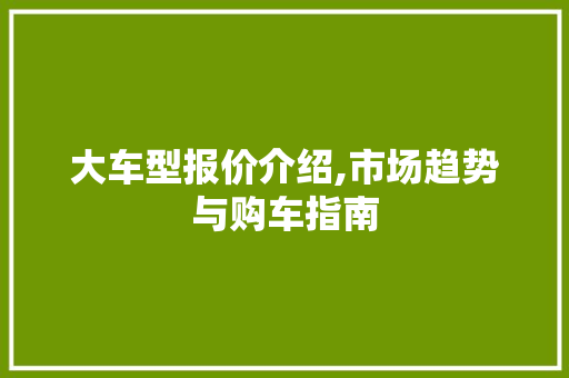 大车型报价介绍,市场趋势与购车指南