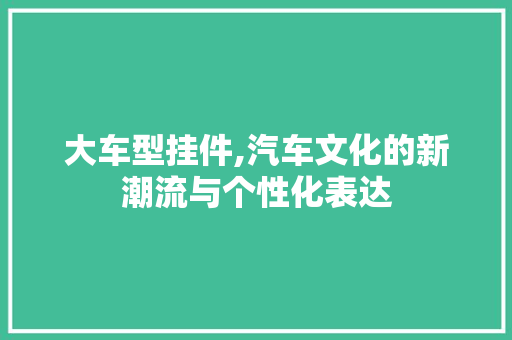 大车型挂件,汽车文化的新潮流与个性化表达