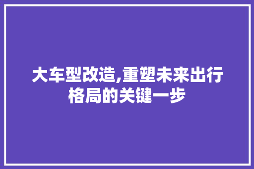 大车型改造,重塑未来出行格局的关键一步