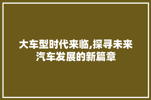 大车型时代来临,探寻未来汽车发展的新篇章