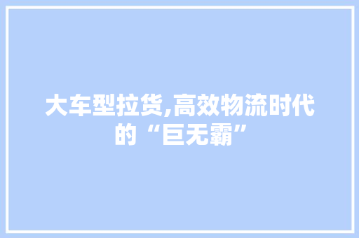 大车型拉货,高效物流时代的“巨无霸”