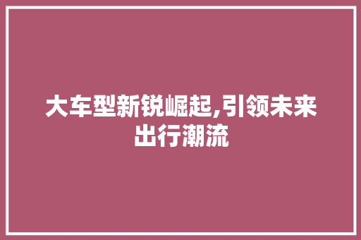大车型新锐崛起,引领未来出行潮流