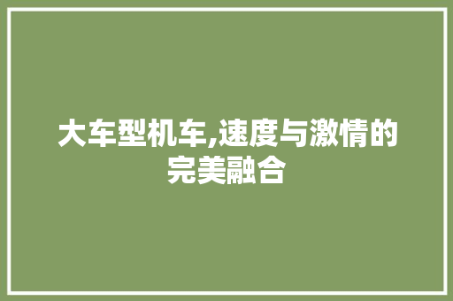 大车型机车,速度与激情的完美融合