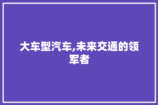 大车型汽车,未来交通的领军者