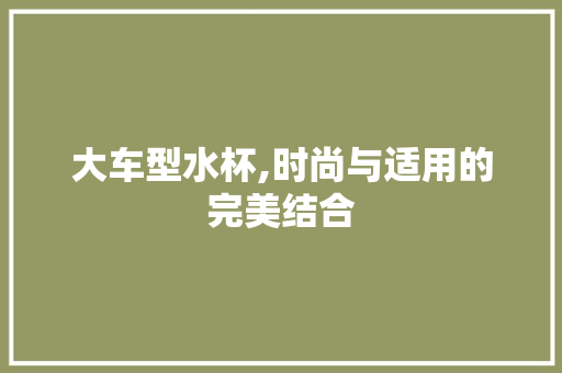大车型水杯,时尚与适用的完美结合