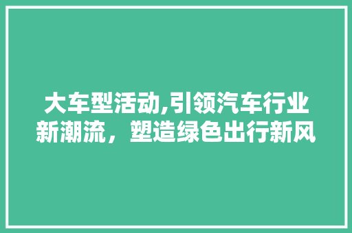 大车型活动,引领汽车行业新潮流，塑造绿色出行新风尚