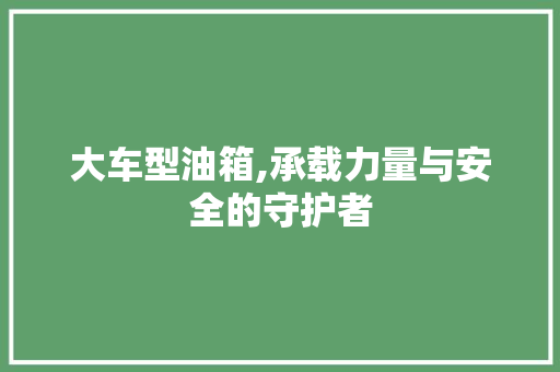 大车型油箱,承载力量与安全的守护者